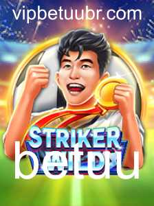 Explorando o Mundo de StrikerWILD